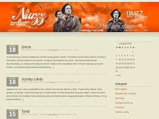 Podgląd niutech.niuzz.com