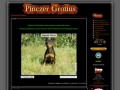 Podgląd pinczer.grotius.pl