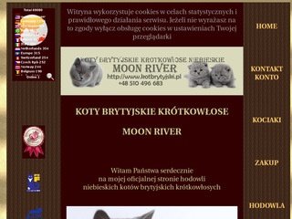 Podgląd kotbrytyjski.pl