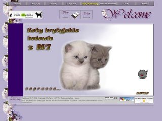 Podgląd kotybrytyjskie-yorki.eu