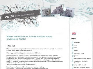 Podgląd teutta.eu