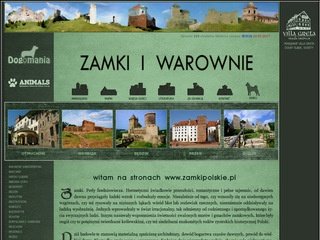 Podgląd zamkipolskie.pl