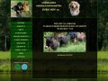 Podgląd hovawart.net.pl