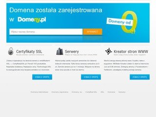 Podgląd e-sprzedawca.com.pl