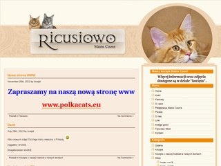 Podgląd ricusiowo.pl