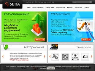Podgląd setia.pl