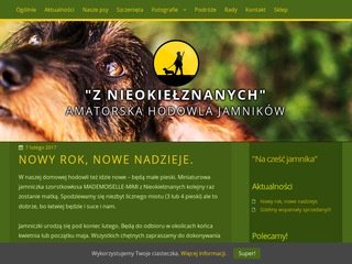 Podgląd mojejamniki.pl