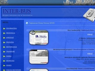 Podgląd inter-bus.pl