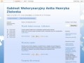 Podgląd wetdoktor.pl