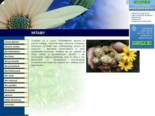 Miniaturka topi.webpark.pl