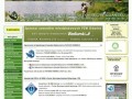 Podgląd pzw.gda.pl