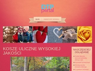 Podgląd portaldtp.pl