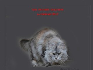 Podgląd alwaro.pl/inde_pl.htm