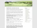 Podgląd strony-internetowe.net.pl