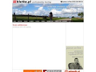Podgląd englishbonisavibus.pl