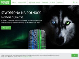 Podgląd nokian.pl