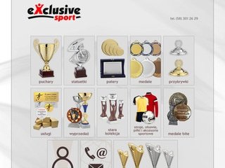 Podgląd exclusivesport.pl