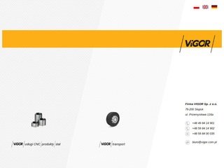 Miniaturka vigor.com.pl