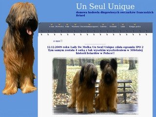 Podgląd briard.ovh.org