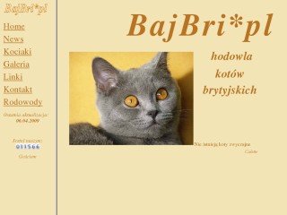 Podgląd bajbri.pl