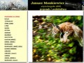Podgląd janusz-monkiewicz.pl