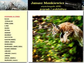 Podgląd janusz-monkiewicz.pl
