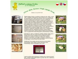 Miniaturka wylegarnia-drobiu.pl