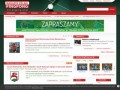 Podgląd pingpong.com.pl