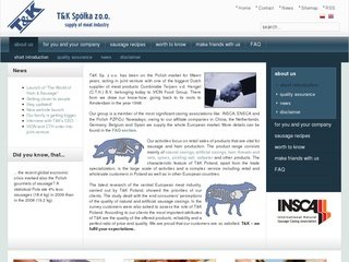 Podgląd t-k.com.pl