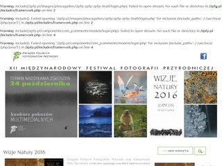 Podgląd zpfp.pl