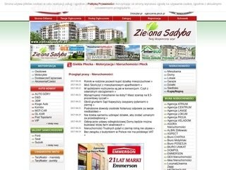 Podgląd gieldaplocka.pl