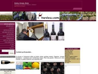 Miniaturka kurdesz.com