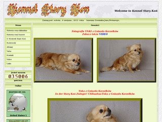 Miniaturka basset.starykon.pl