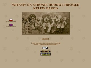 Podgląd beagle-kelew.pl