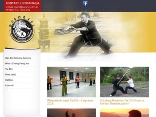 Podgląd wushu.com.pl