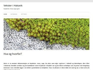 Miniaturka hakavik.com