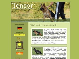Podgląd tensor.ipnet.pl