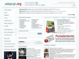 Podgląd adopcje.org
