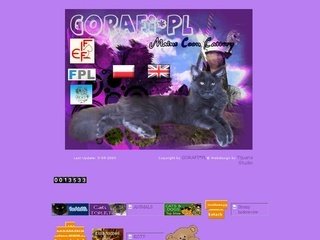 Podgląd gorafi.glt.pl