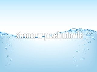 Podgląd wgw.pl
