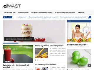 Miniaturka elwast.pl