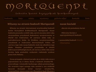 Podgląd moriquendi.nazwa.pl