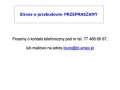 Podgląd tz-amex.pl