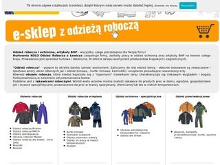 Podgląd odziez-robocza.com