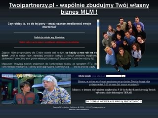 Podgląd twoipartnerzy.pl