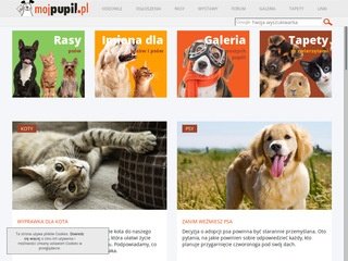 Podgląd mojpupil.pl