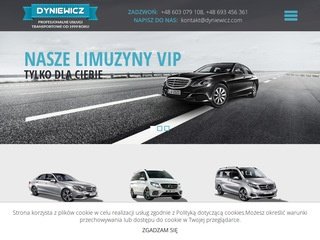 Miniaturka dyniewicz.com