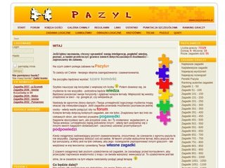 Podgląd pazyl.pl