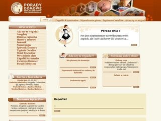 Podgląd porady-domowe.pl