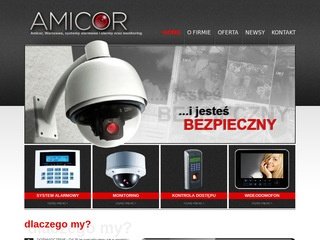 Podgląd amicor.pl